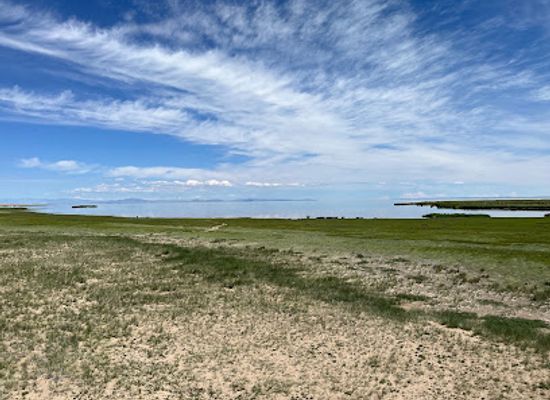 mongolia/khar-nuur/attraction/khar-us-nuur-bird-watch-tower