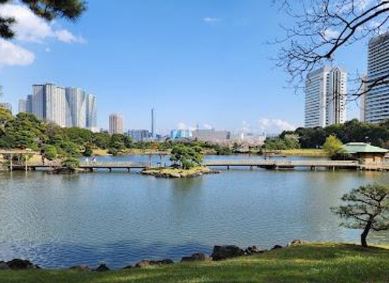 japan/tokyo/attraction/hamarikyu-gardens