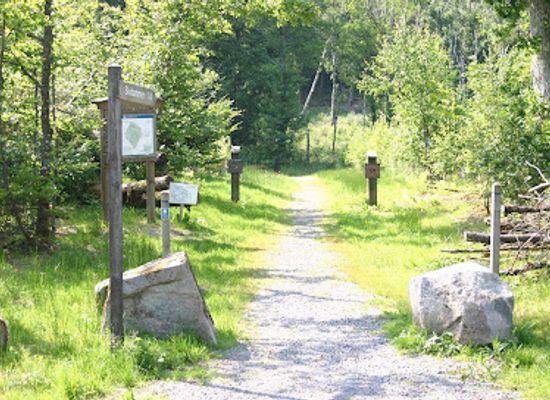 sweden/vastergotland/attraction/guddehjalm-nature-reserve