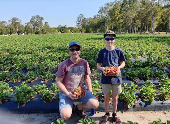 australia/sunshine-coast/attraction/palmview-conservation-park