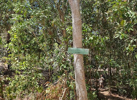 australia/magnetic-island/attraction/butterfly-walk