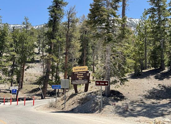 nevada/mount-charleston/attraction/lee-canyon