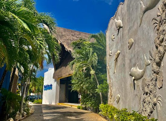 mexico/cozumel/attraction/dolphinaris-cozumel