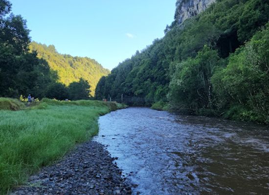 new-zealand/waitomo-caves/attraction/mangaokewa-reserve