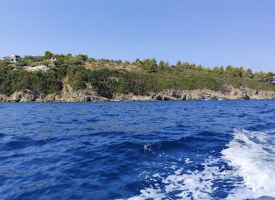 greece/chalkidiki/attraction/shark-rent-a-boat-chalkidiki