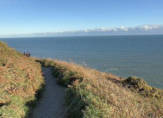 ireland/wicklow-mountains/attraction/howth-cliff-walk-green-route