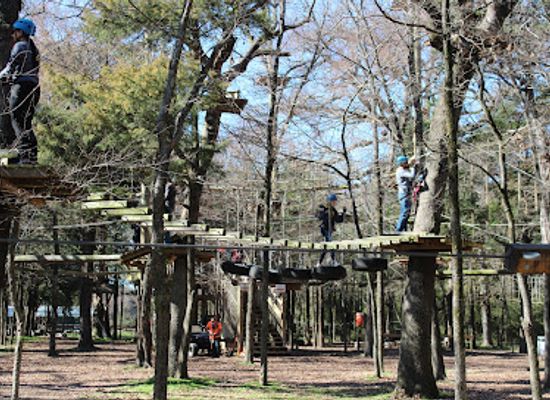 texas/dallas/attraction/trinity-forest-adventure-park