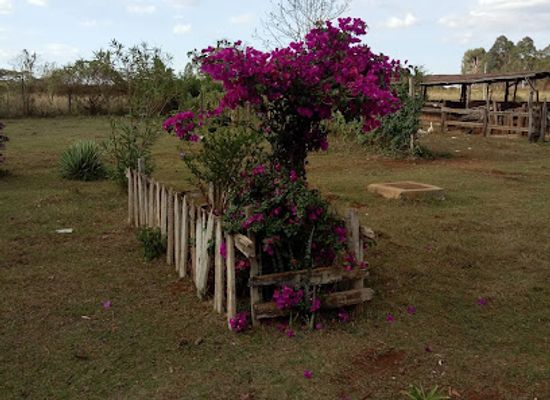 kenya/pokot-region/attraction/chorlim-wildlife-sanctuary