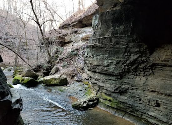 indiana/central-indiana/attraction/donaldson-cave