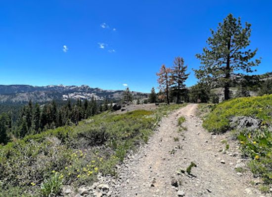 california/northern-california/attraction/donner-memorial-state-park