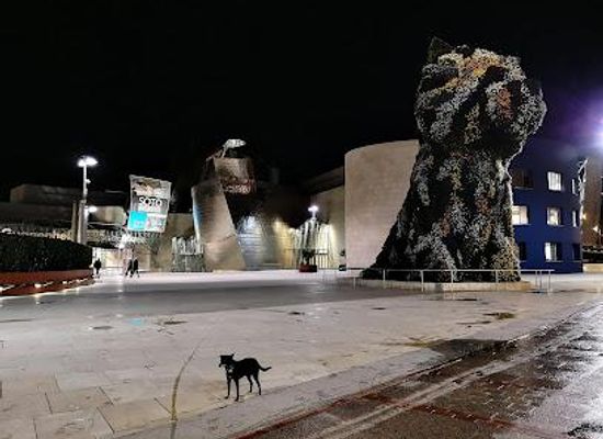 spain/bilbao/attraction/puppy