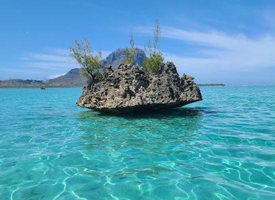 mauritius/bel-ombre/attraction/crystal-rock