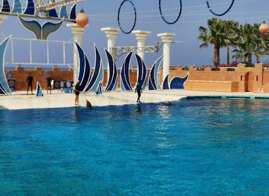 turkiye/lycian-way/attraction/dolphin-park