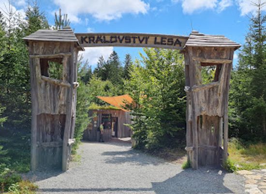 czechia/lipno-dam/attraction/kralovstvi-lesa-lipno
