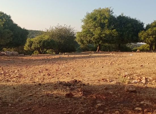 jordan/ajloun-castle/attraction/ghabat-ashtefina