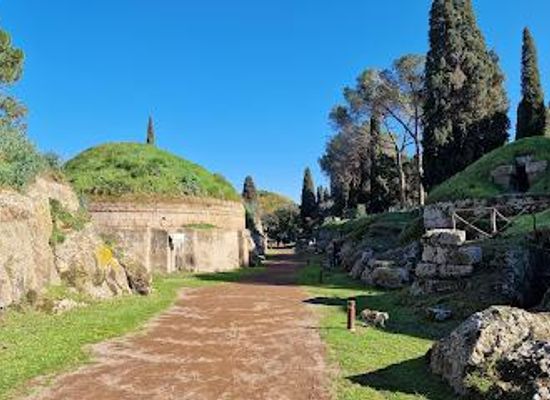 vatican-city/vatican-pinacoteca/attraction/necropolis-banditaccia