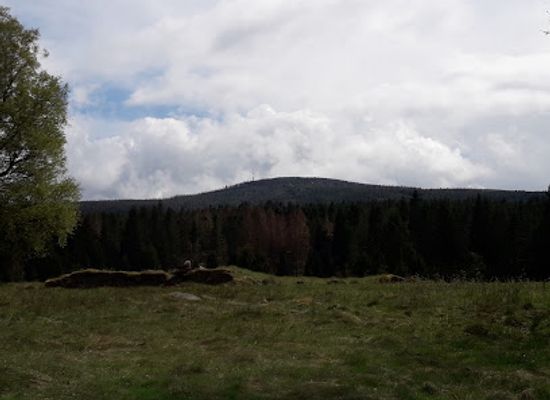 germany/harz-national-park/attraction/altes-gemauer