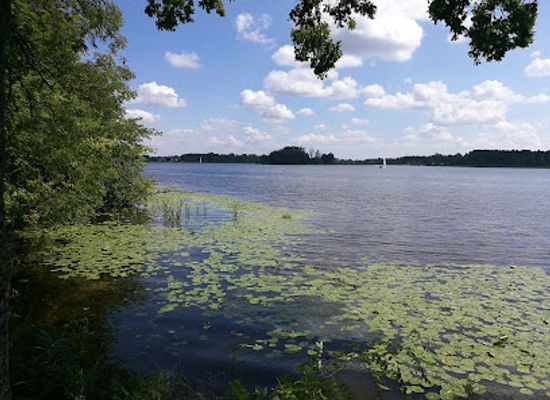 poland/zegrze-reservoir/attraction/ruiny-dworku-szaniawskich