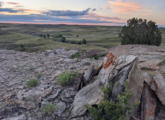 wyoming/powder-river-basin/attraction/thunder-basin-national-grassland