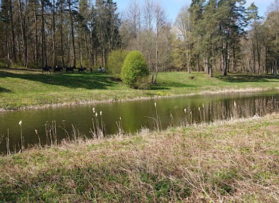 latvia/zemgale/attraction/anna-brigadere-museum-spridisi