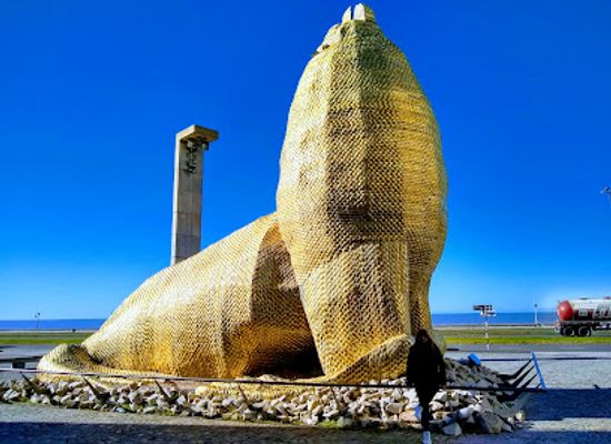 argentina/mar-del-plata/attraction/provincial-museum-of-contemporary-art-mar