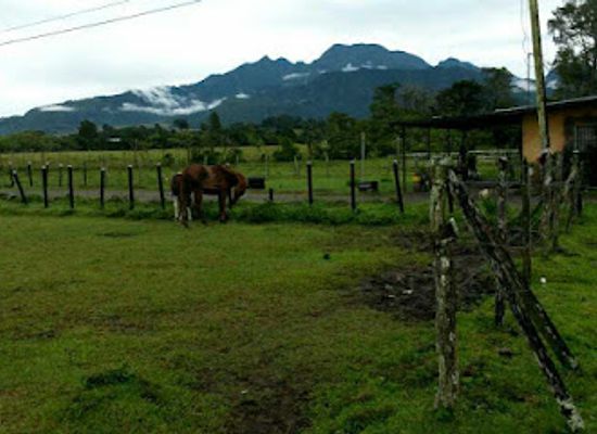 panama/david/attraction/museo-del-barrio-y-antiguedades-la-casona