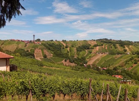 slovenia/prekmurje/attraction/klopca