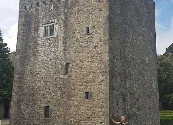 ireland/dublin/dublin-castle/attraction/ashtown-castle