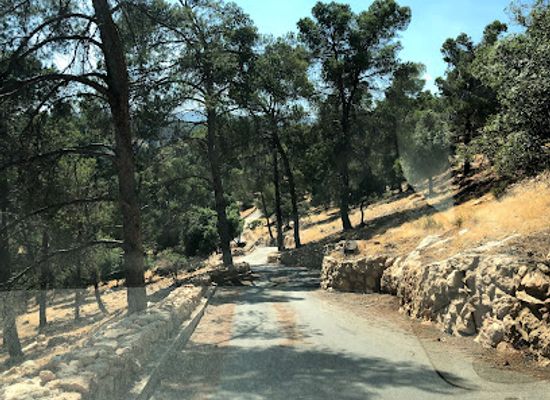 jordan/dibeen-forest/attraction/the-new-national-park-debbin