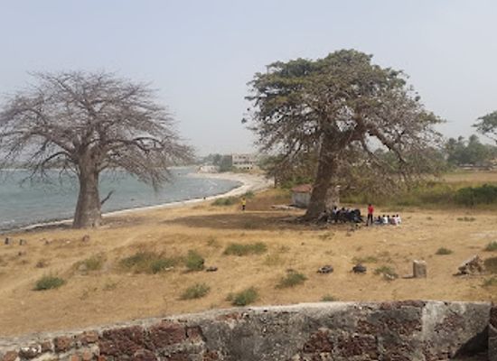 the-gambia/bijilo-forest-park/attraction/fort-bullen