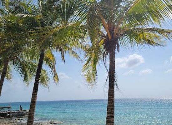 mexico/playa-del-carmen/attraction/dzul-ha