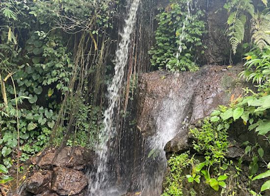 indonesia/bali/attraction/beji-hill-waterfall