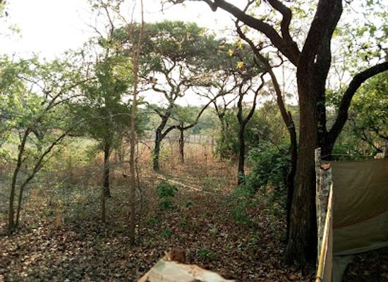 zambia/kasanka-bat-forest/attraction/lavushi-manda-national-park