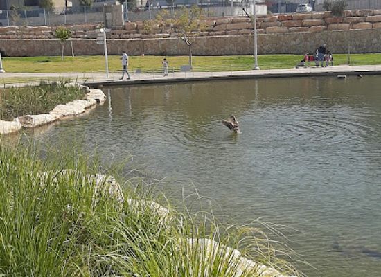 israel/beersheba/attraction/park-hayeladim-shel-beer-sheva