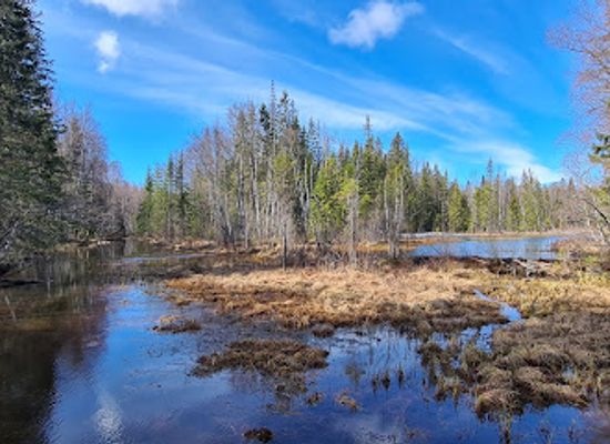 sweden/dalarna/attraction/alderangarna