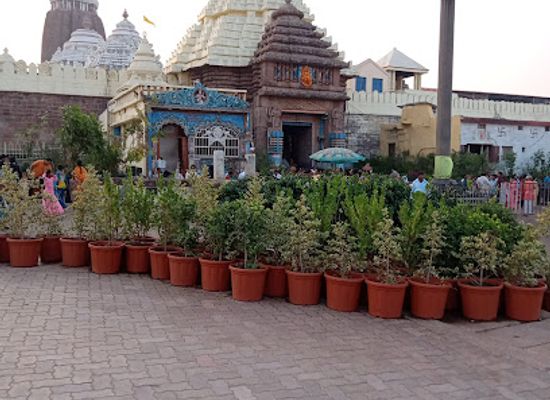 india/east-india/attraction/aruna-stambha