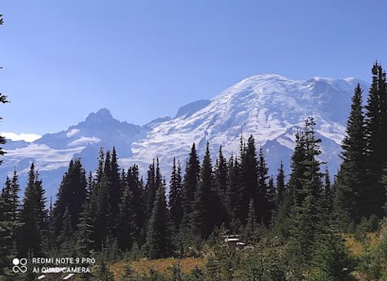 washington/mount-rainier-area/attraction/mount-fremont-lookout-trail