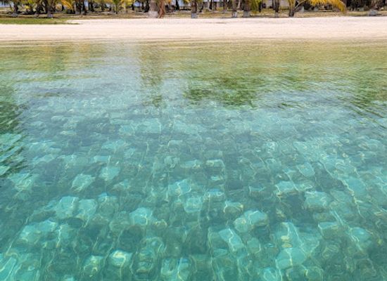 belize/stann-creek-district/attraction/rendezvous-island