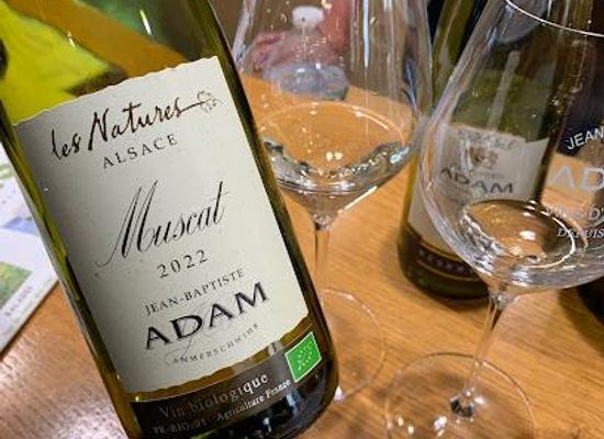 france/alsace/attraction/jean-baptiste-adam
