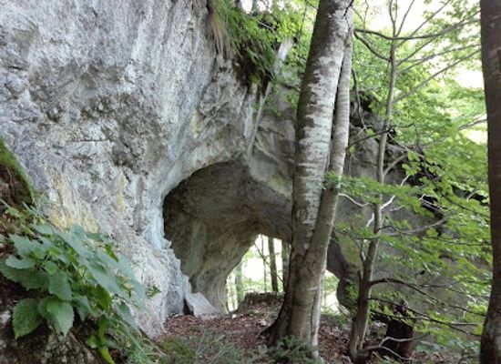 romania/alba/attraction/pestera-laptelui