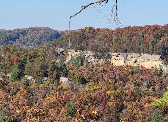kentucky/appalachian-plateau/attraction/red-river-gorge