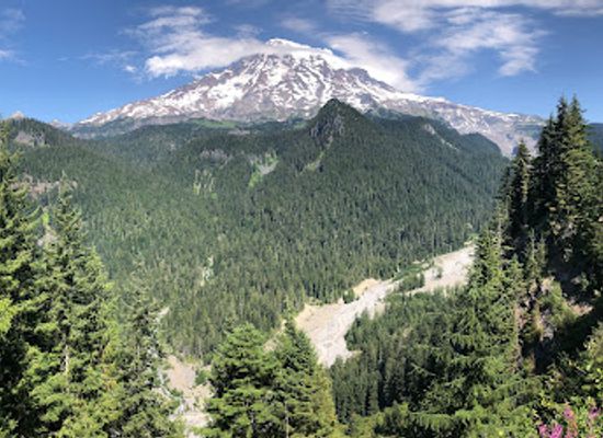 washington/mount-rainier-area/attraction/ricksecker-point