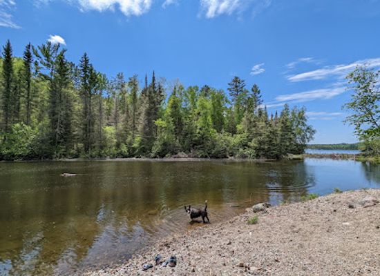 minnesota/ely/attraction/bass-lake-trail