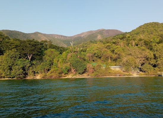 tanzania/mahale-mountains/attraction/gombe-national-park