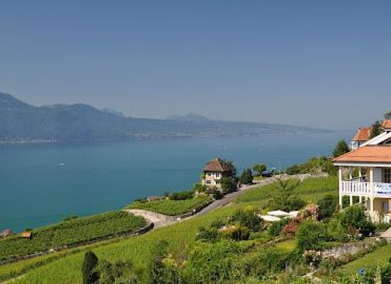 switzerland/fribourg/attraction/chexbres