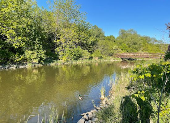 canada/golden-horseshoe/attraction/humber-arboretum