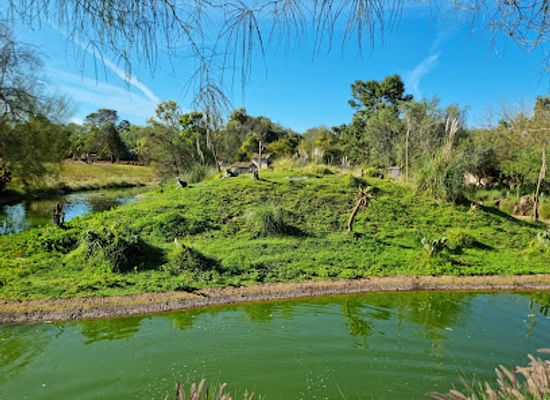 morocco/zemmour/attraction/national-zoo-rabat-morocco