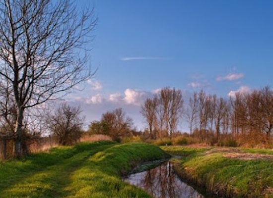 hungary/nyiregyhaza/attraction/igrice-mocsar-termeszetvedelmi-terulet