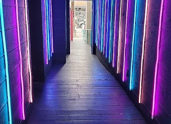 california/santa-monica/attraction/abbot-kinney-neon-tunnel