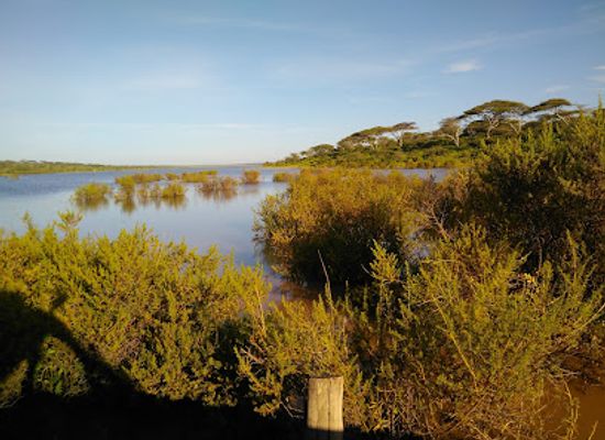 tanzania/lake-zone/attraction/ndutu-lake
